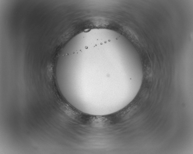 X0000073410321200608111332