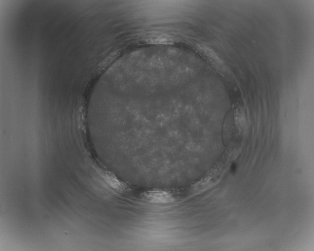 X0000073410322200608111332