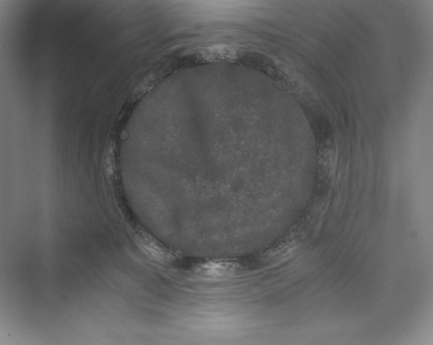 X0000073410323200608111332