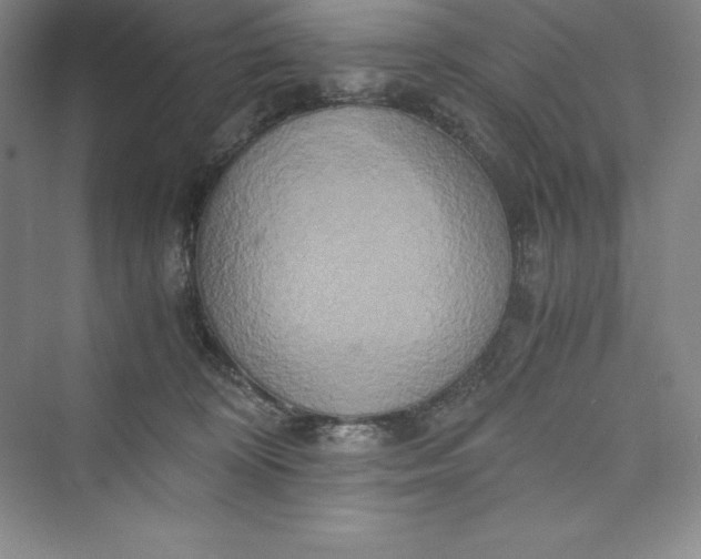 X0000073410324200608111332