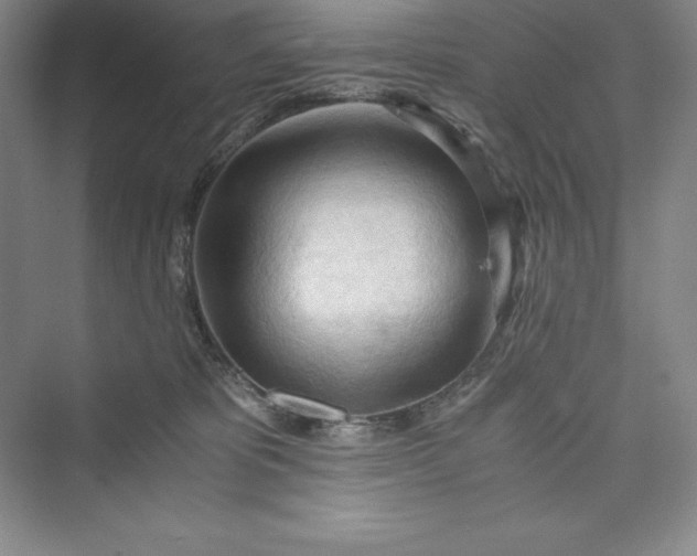 X0000073410325200608111332