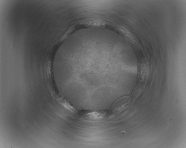 X0000073410326200608111332