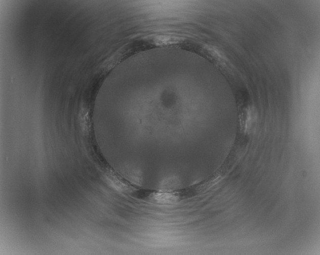 X0000073410327200608111332