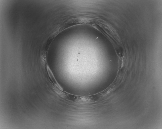 X0000073410329200608111331