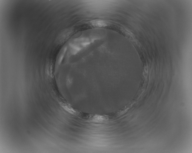 X0000073410330200608111331