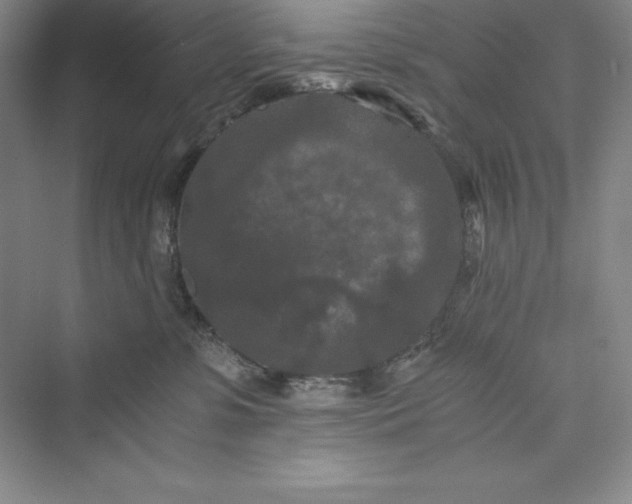 X0000073410331200608111331