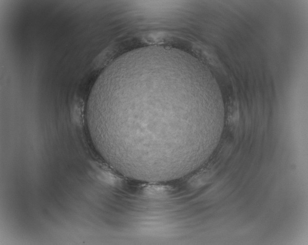 X0000073410332200608111331