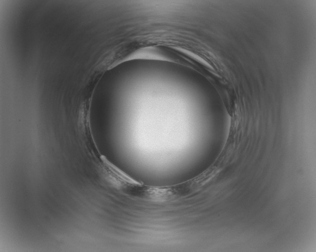 X0000073410333200608111331