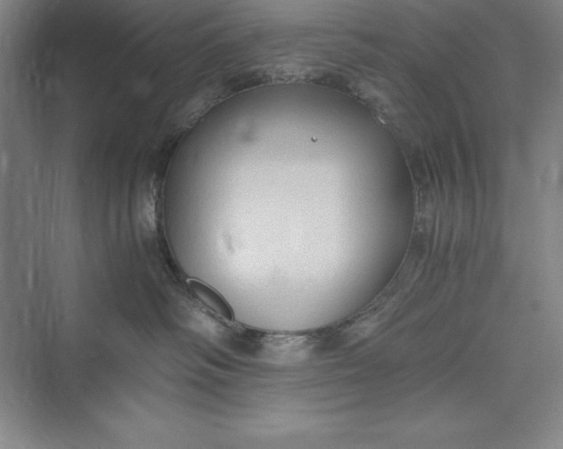 X0000073410334200608111331