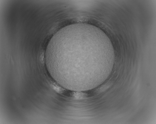 X0000073410336200608111331