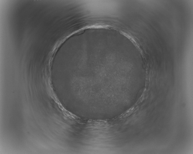 X0000073410337200608111331