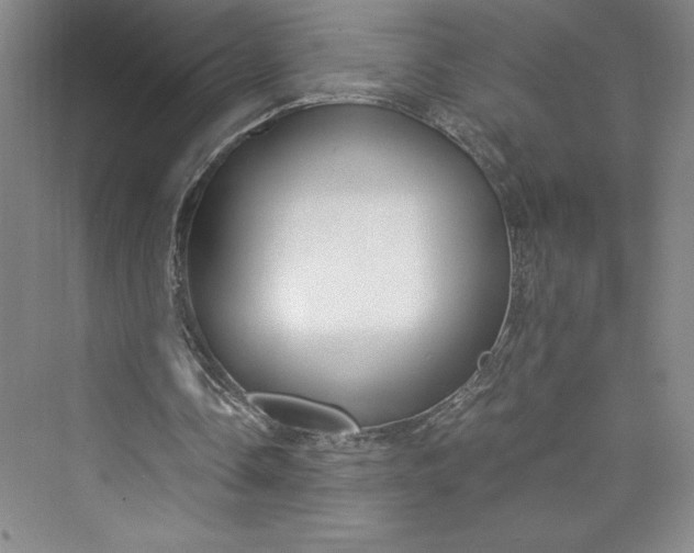 X0000073410338200608111331