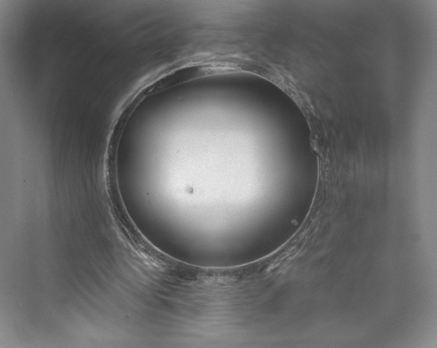 X0000073410340200608111331