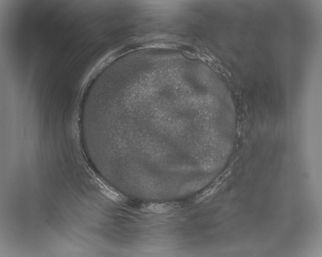 X0000073410341200608111331