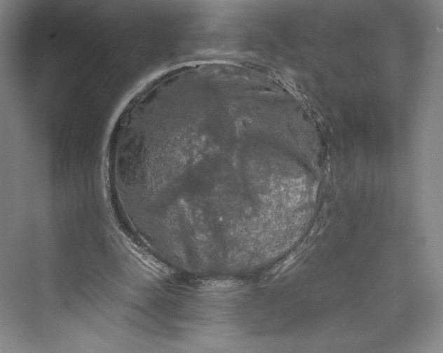 X0000073410342200608111331