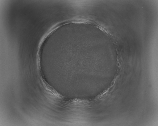 X0000073410343200608111331