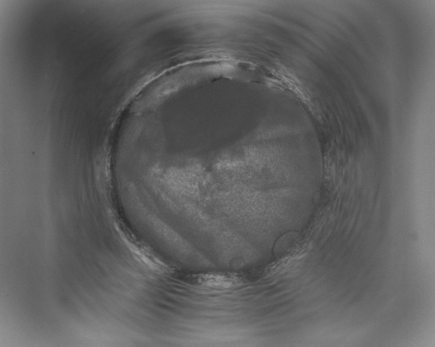 X0000073410347200608111331