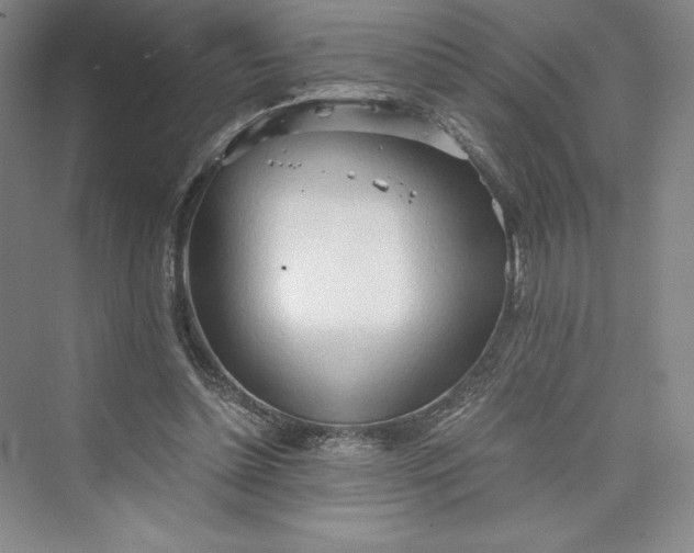 X0000073410348200608111331