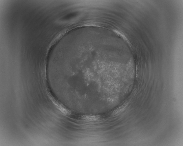 X0000073410349200608111331