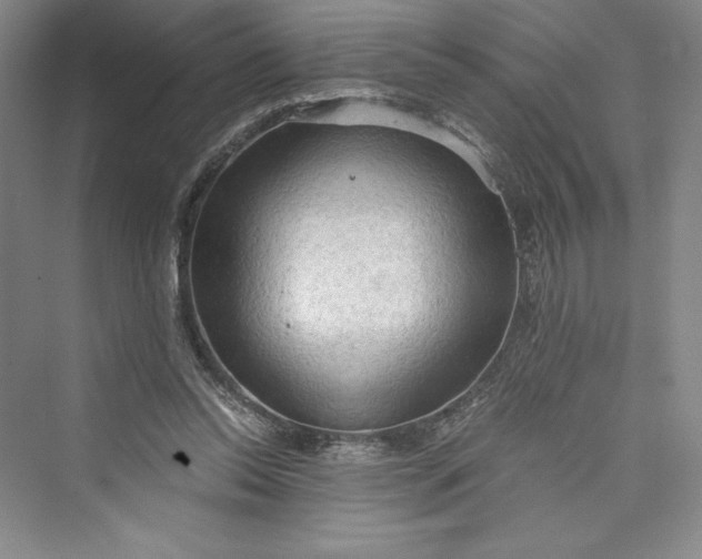 X0000073410350200608111331