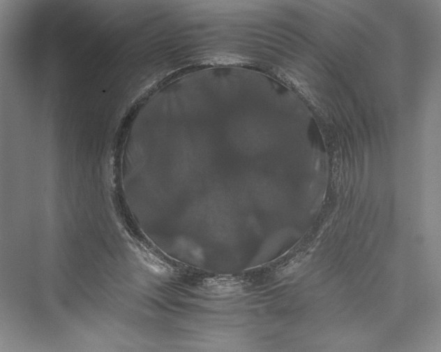 X0000073410351200608111331