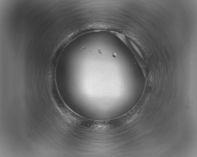 X0000073410352200608111331