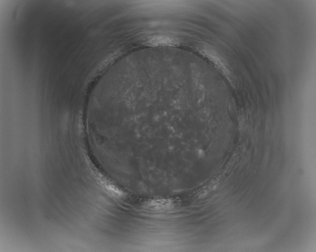 X0000073410353200608111331