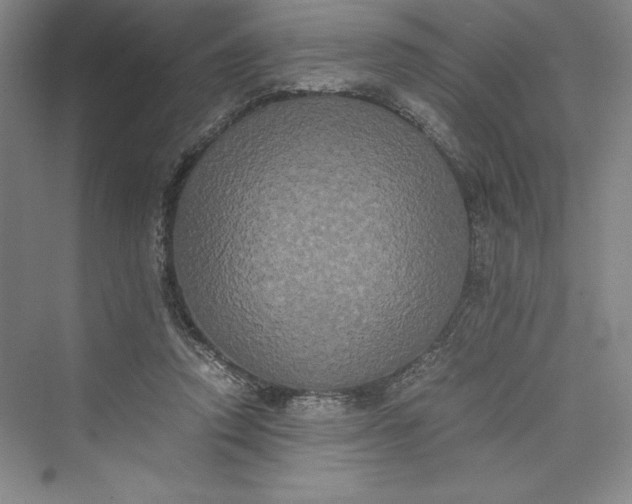 X0000073410354200608111331