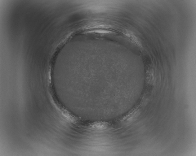 X0000073410358200608111331