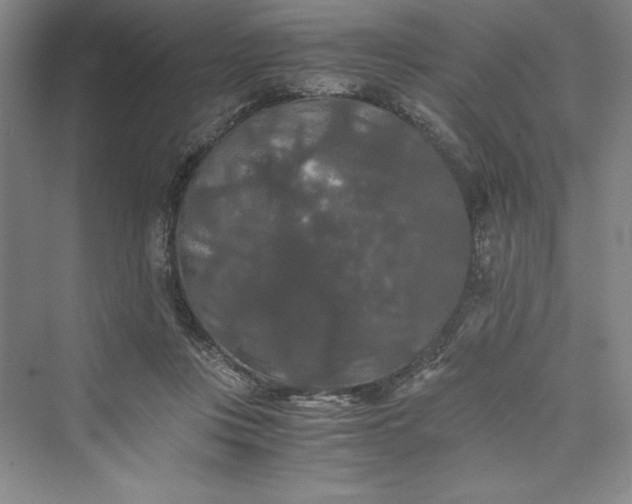 X0000073410359200608111331