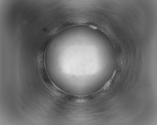 X0000073410360200608111331