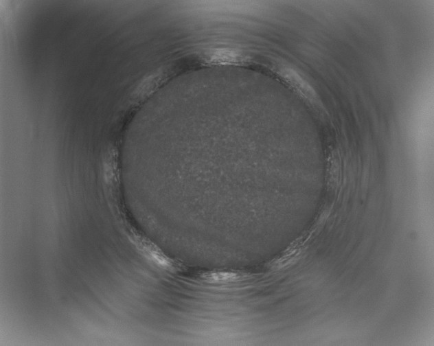 X0000073410361200608111331