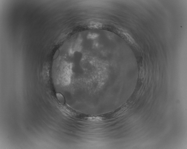 X0000073410363200608111331