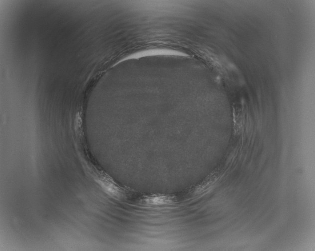 X0000073410365200608111331