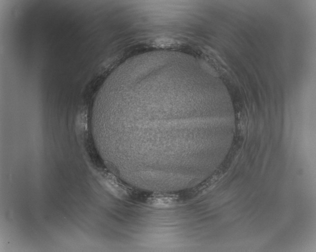 X0000073410368200608111331