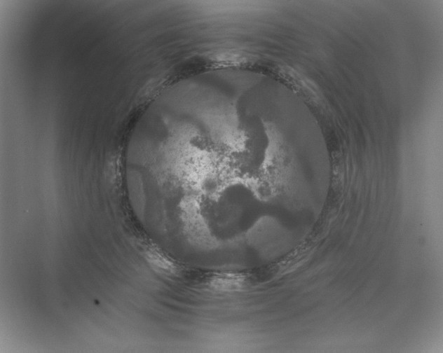 X0000073410369200608111331