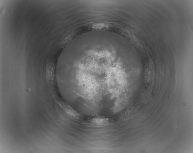 X0000073410375200608111331