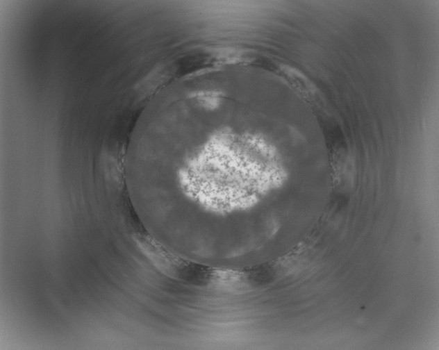 X0000073410376200608111331