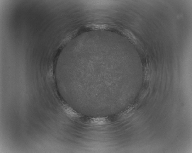 X0000073410377200608111331