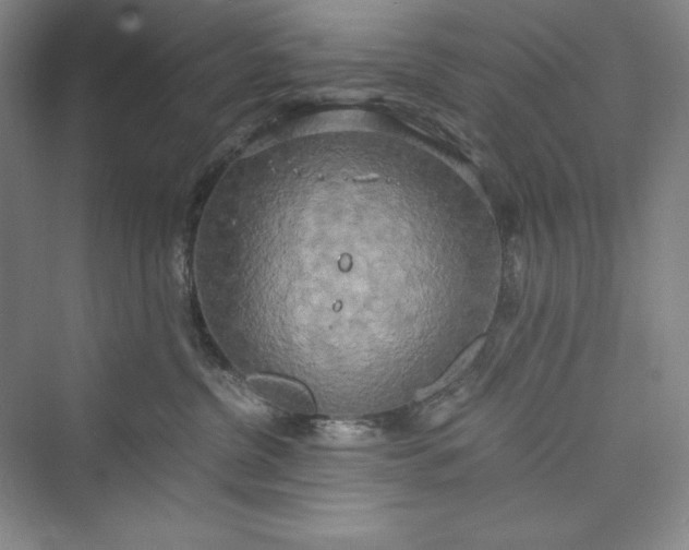 X0000073410380200608111331