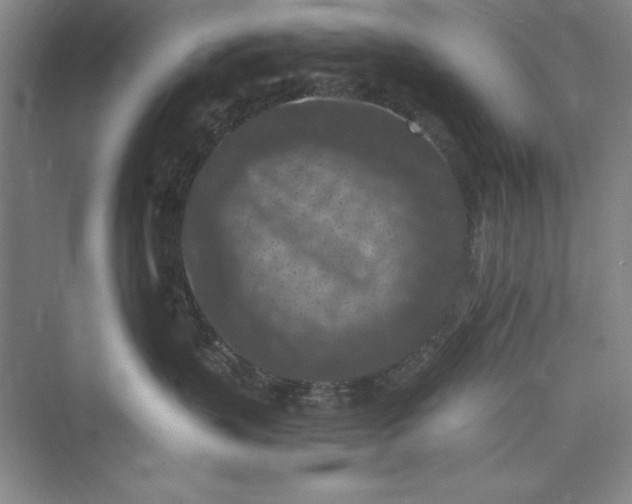 X0000073410383200608111331