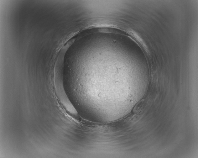 X0000073410385200608111331