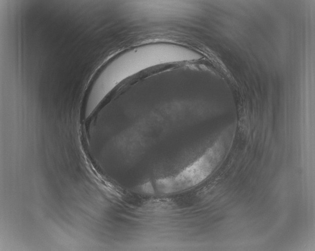 X0000073410386200608111331