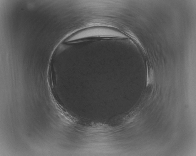 X0000073410387200608111331