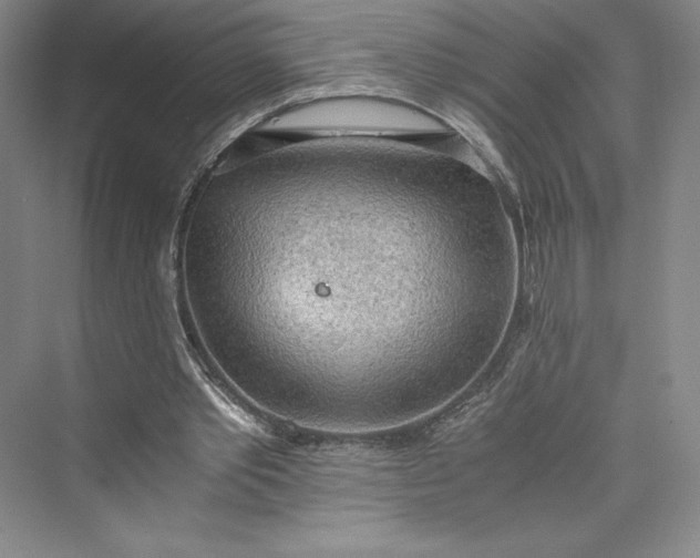 X0000073410389200608111330