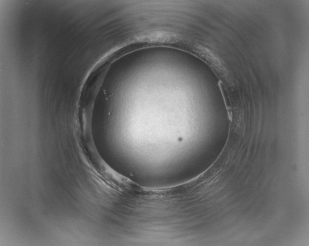 X0000073410392200608111330