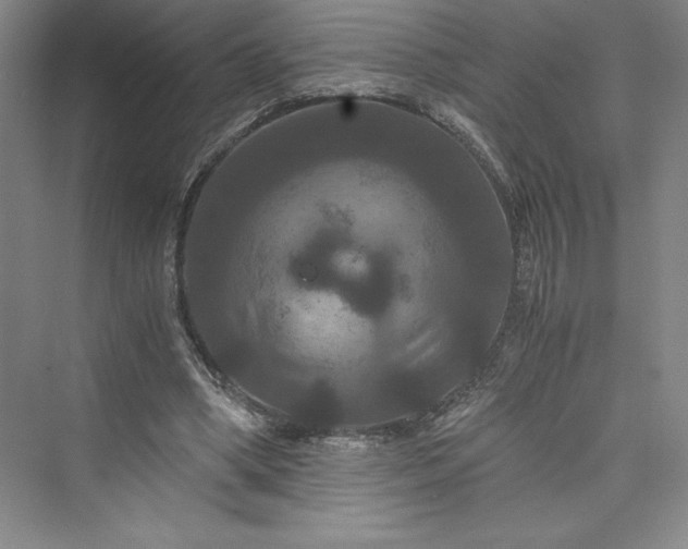 X0000073410394200608111330