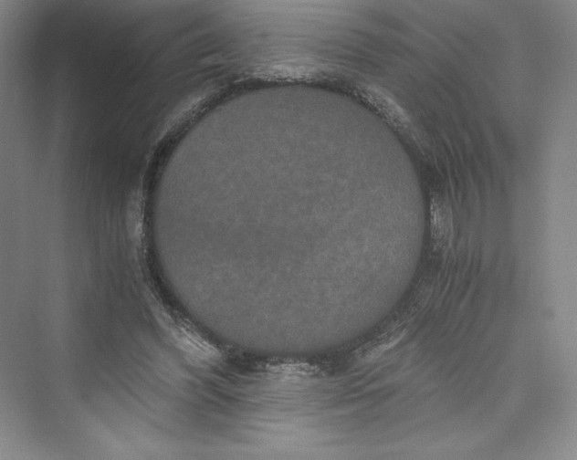 X0000073410396200608111330