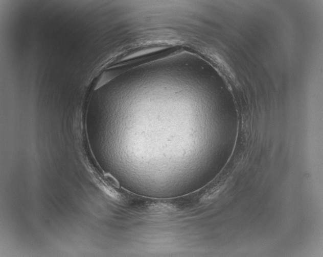 X0000073410397200608111330