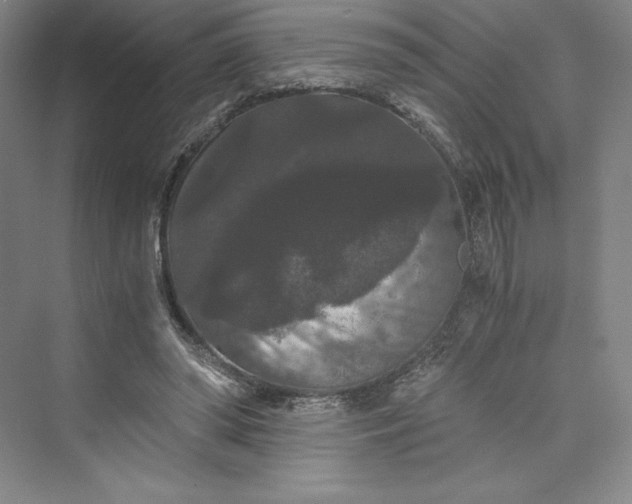 X0000073410398200608111330